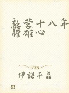 敌营十八年2虎胆雄心封面