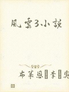 风云3小说