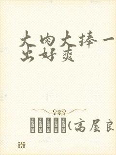 大肉大捧一进一出好爽