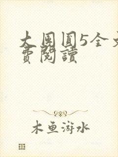 大团圆5全文免费阅读
