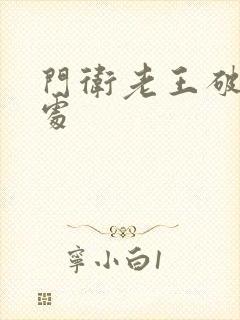 门卫老王破校花处