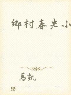 乡村春光小说