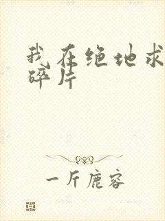 我在绝地求生捡碎片