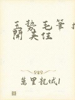 玉势 毛笔 撑开 夹住