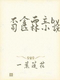 不含而立by阿司匹林小说封面