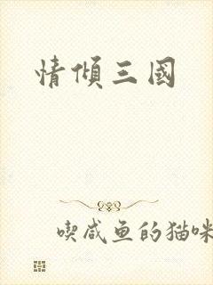 情倾三国封面
