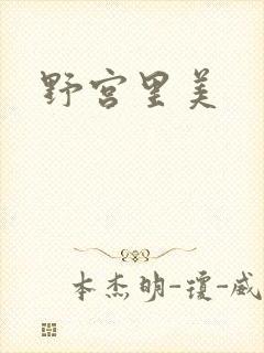 野宫里美封面