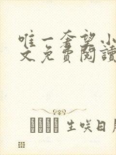 唯一奢望小说全文免费阅读