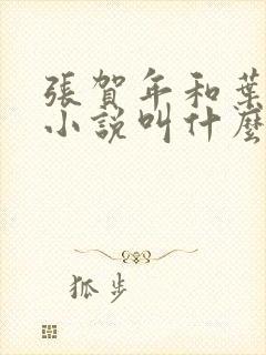 张贺年和叶繁姿小说叫什么名字