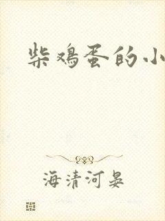 柴鸡蛋的小说