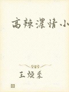 高辣浓情小说