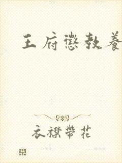 王府惩教养日常