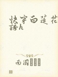 快穿白莲花的引诱h