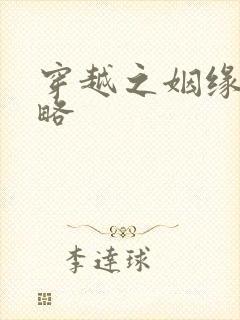 穿越之姻缘劫攻略封面