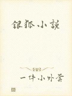 银狐小说
