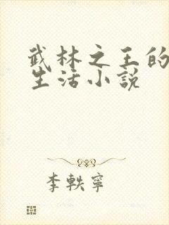 武林之王的退隐生活小说