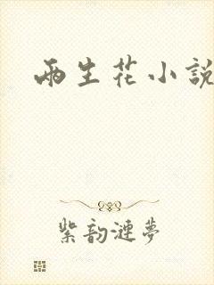 两生花小说