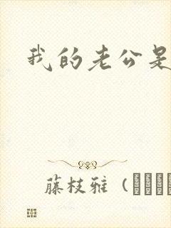 我的老公是冥王封面