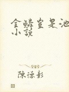 金鳞岂是池中物小说封面