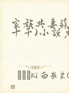 家族共妻苏苏(十千)小说免费