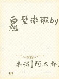 白璧微瑕by连翘