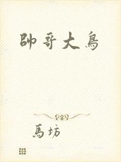 帅哥大鸟
