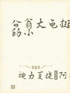 公翁大龟挺进我的小