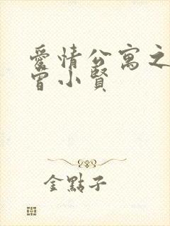 爱情公寓之极品曾小贤