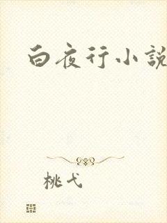 白夜行小说下载