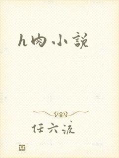h肉小说