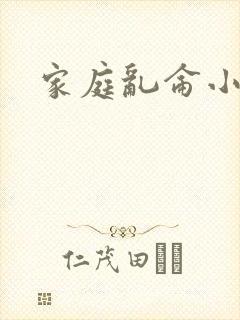 家庭乱仑小说封面