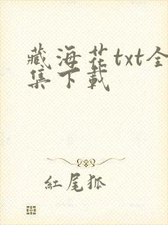 藏海花txt全集下载