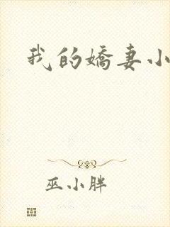 我的娇妻小说