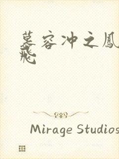 慕容冲之凤凰于飞