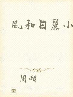 风和日丽小说