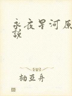 永夜星河原著小说封面
