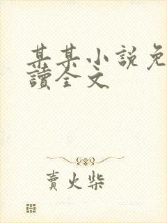 某某小说免费阅读全文