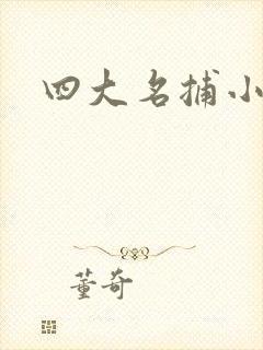 四大名捕小说