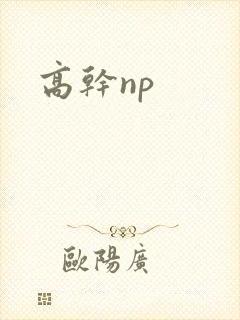 高干np