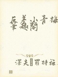 反差小青梅小说笔趣阁