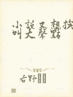 小说又想挨C了叫大声点封面