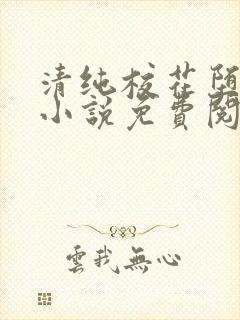 清纯校花堕落记小说免费阅读