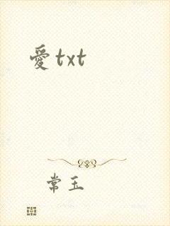 爱txt封面