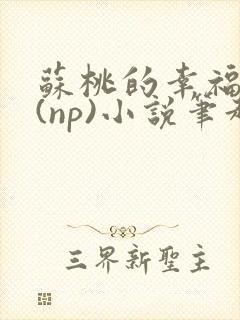 苏桃的幸福生活(np)小说笔趣阁沐沐