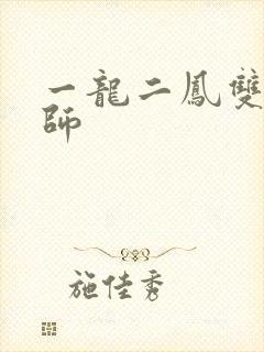 一龙二凤双飞老师封面