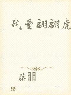 我爱翩翩虎少封面