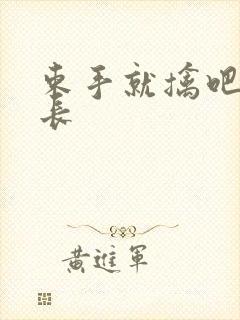 束手就擒吧韩队长