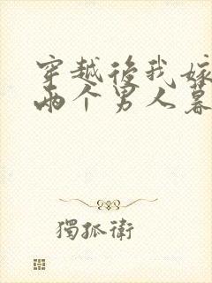 穿越后我嫁给了两个男人暮色酒歌封面