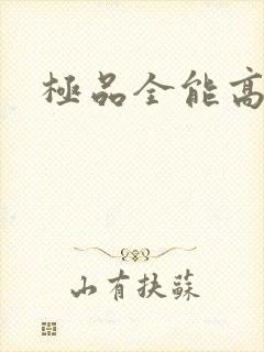 极品全能高手封面