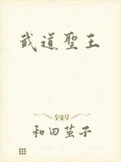 武道圣王